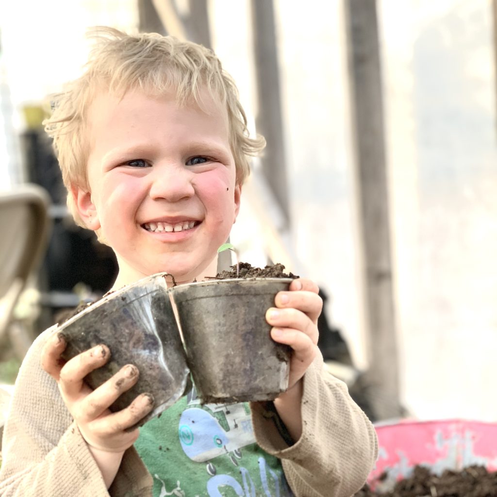 Child holding seedlings 